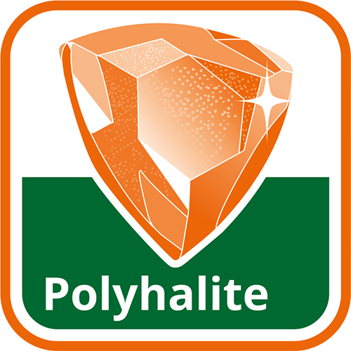 S obsahom Polyhalitu