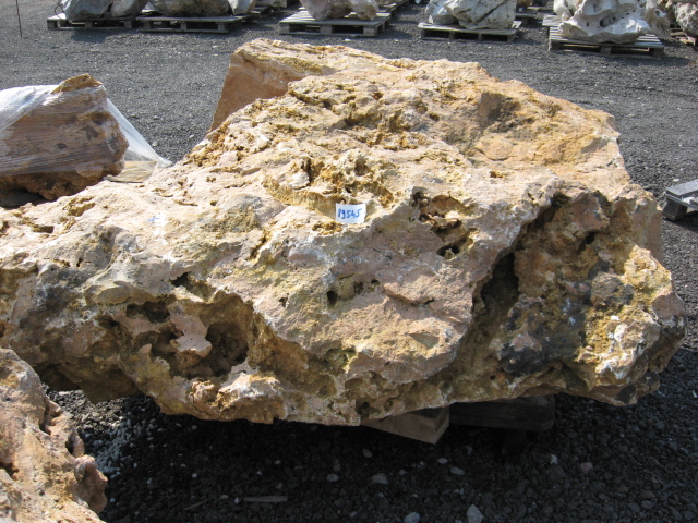 89545.jpg